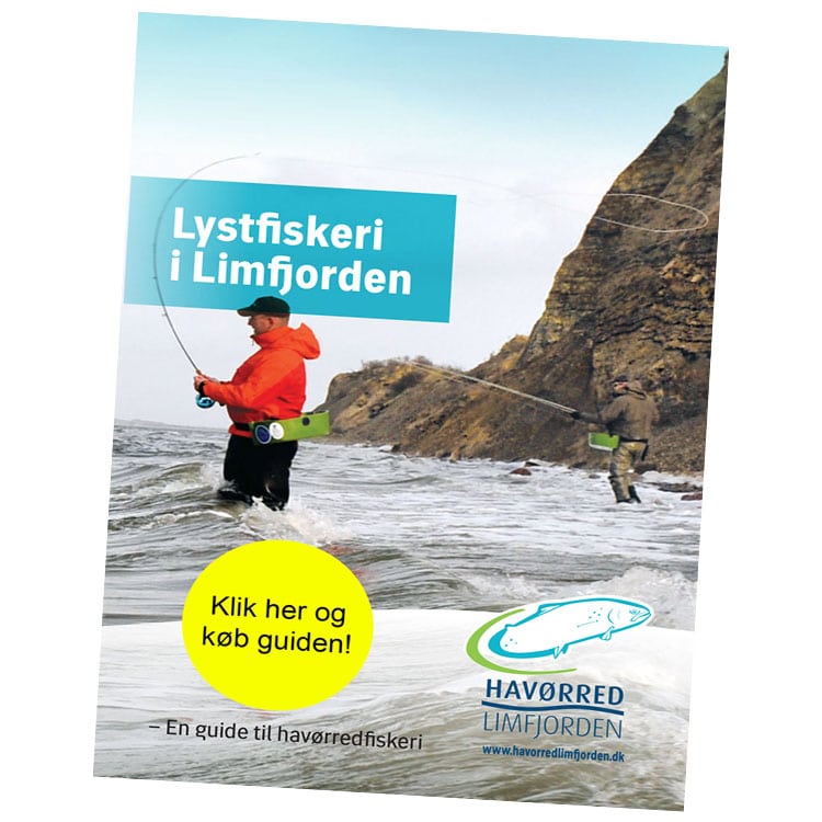 Lystfiskeri i Limfjorden - En guide til havørredfiskeri,limfjorden,havørredfiskeri i limfjorden,fiskeguide til limfjorden,fiskepladser limfjorden