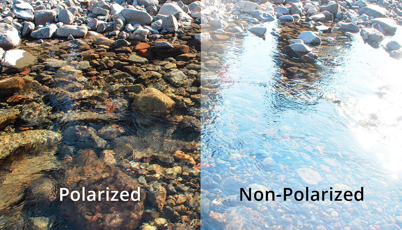 Polarized Fiskebrille