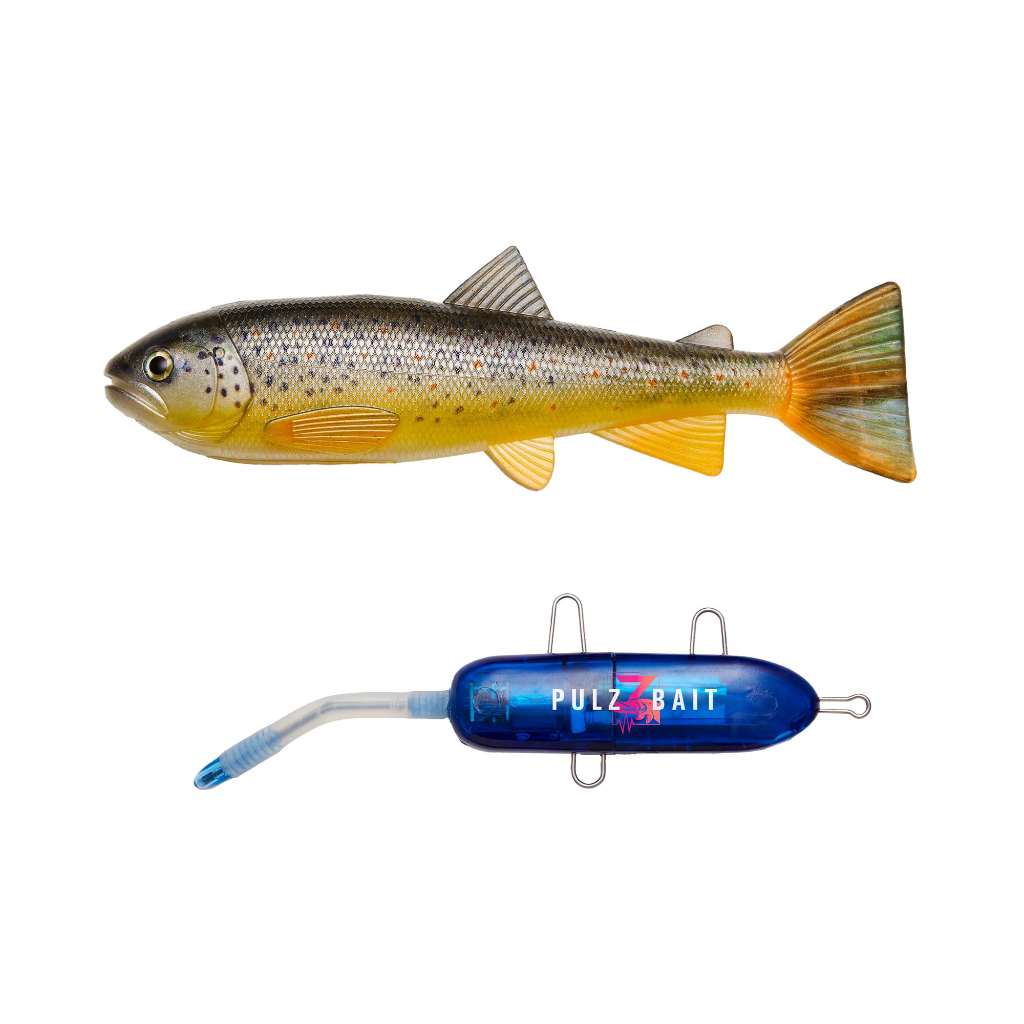 Starter Kit - Trout