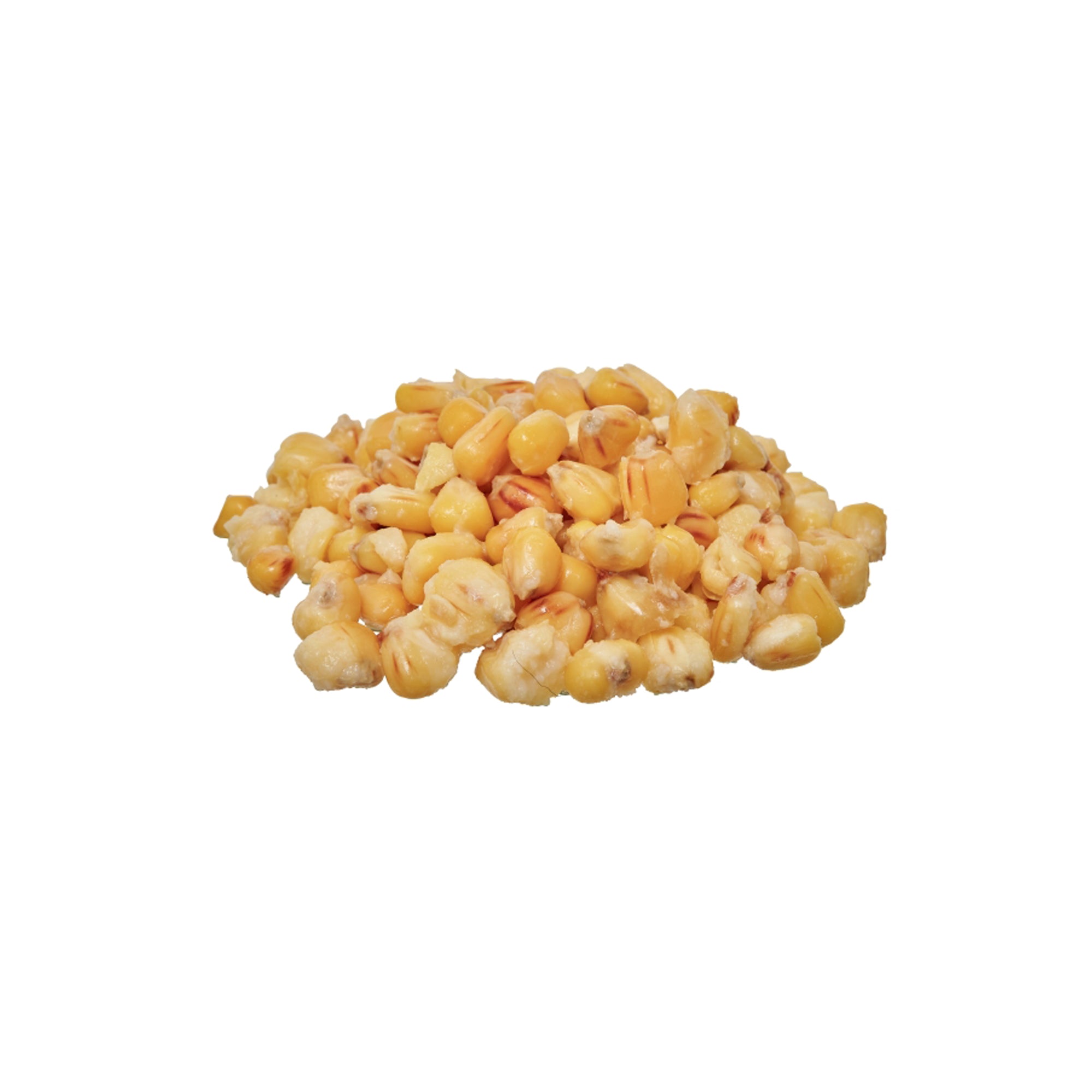 Ready Seeds Corn Majs