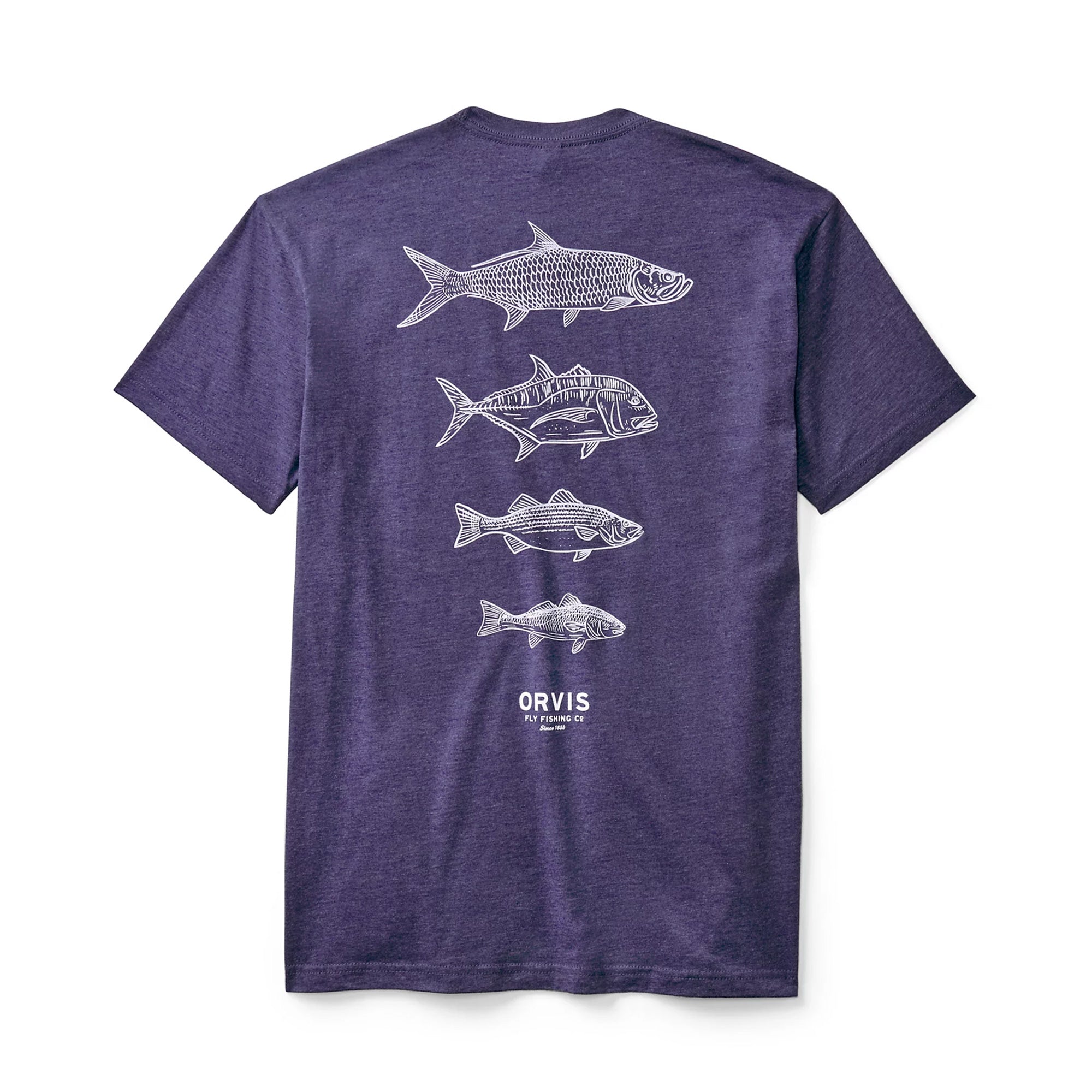 Saltwater Fish Graphic T-Shirt