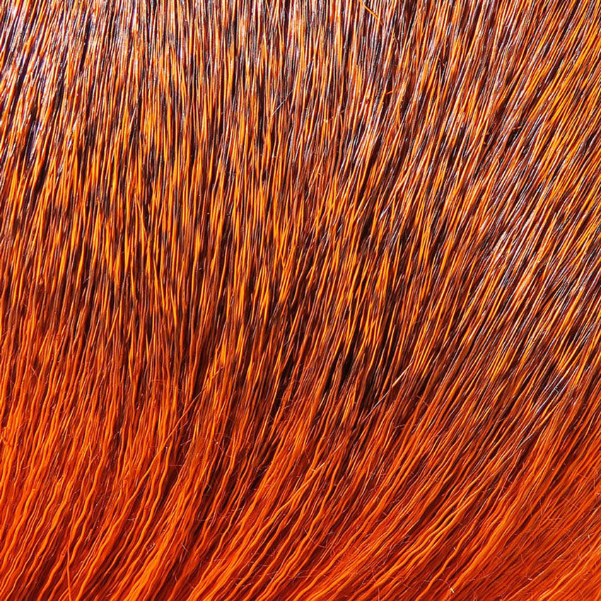Deer Body Hair - Hjortehår