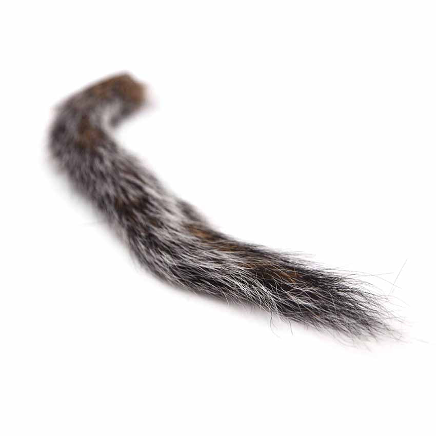 Squirrel Tail - Egernhaler