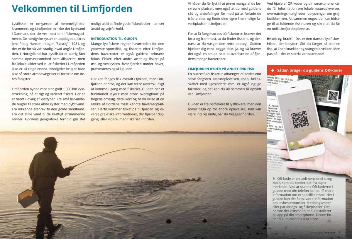Lystfiskeri i Limfjorden - En guide til havørredfiskeri