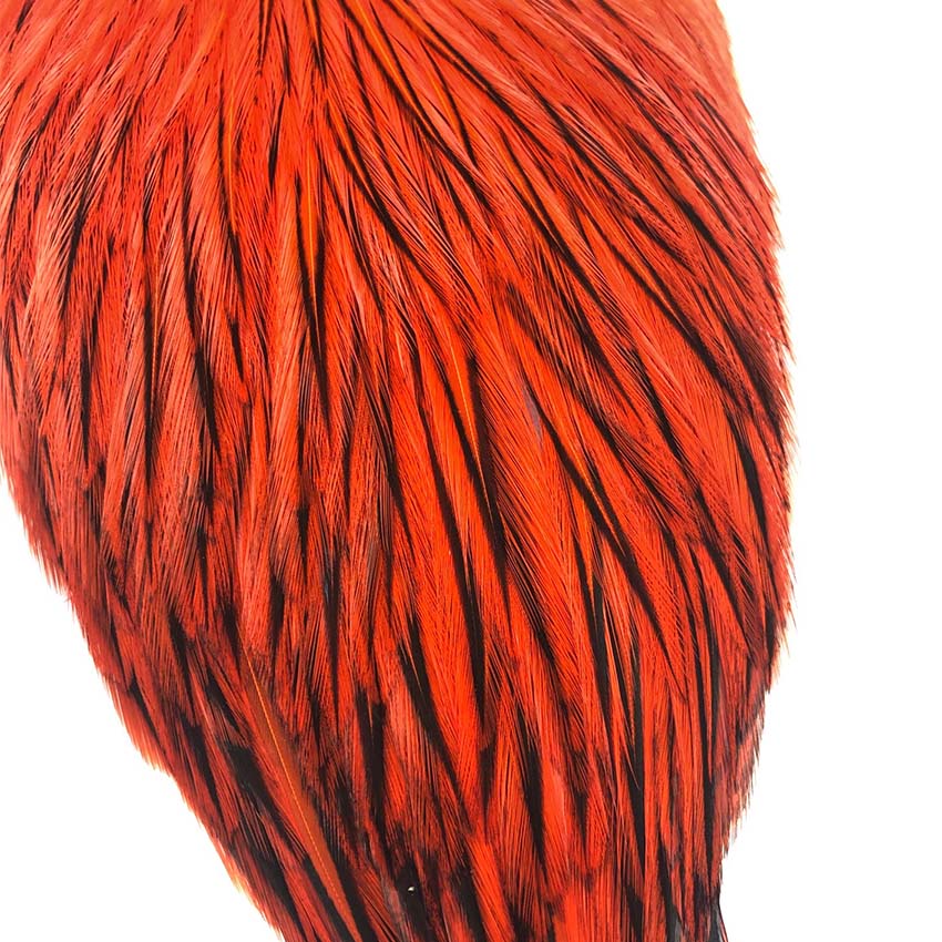 American Rooster Capes - Whiting Hane Badger Nakker