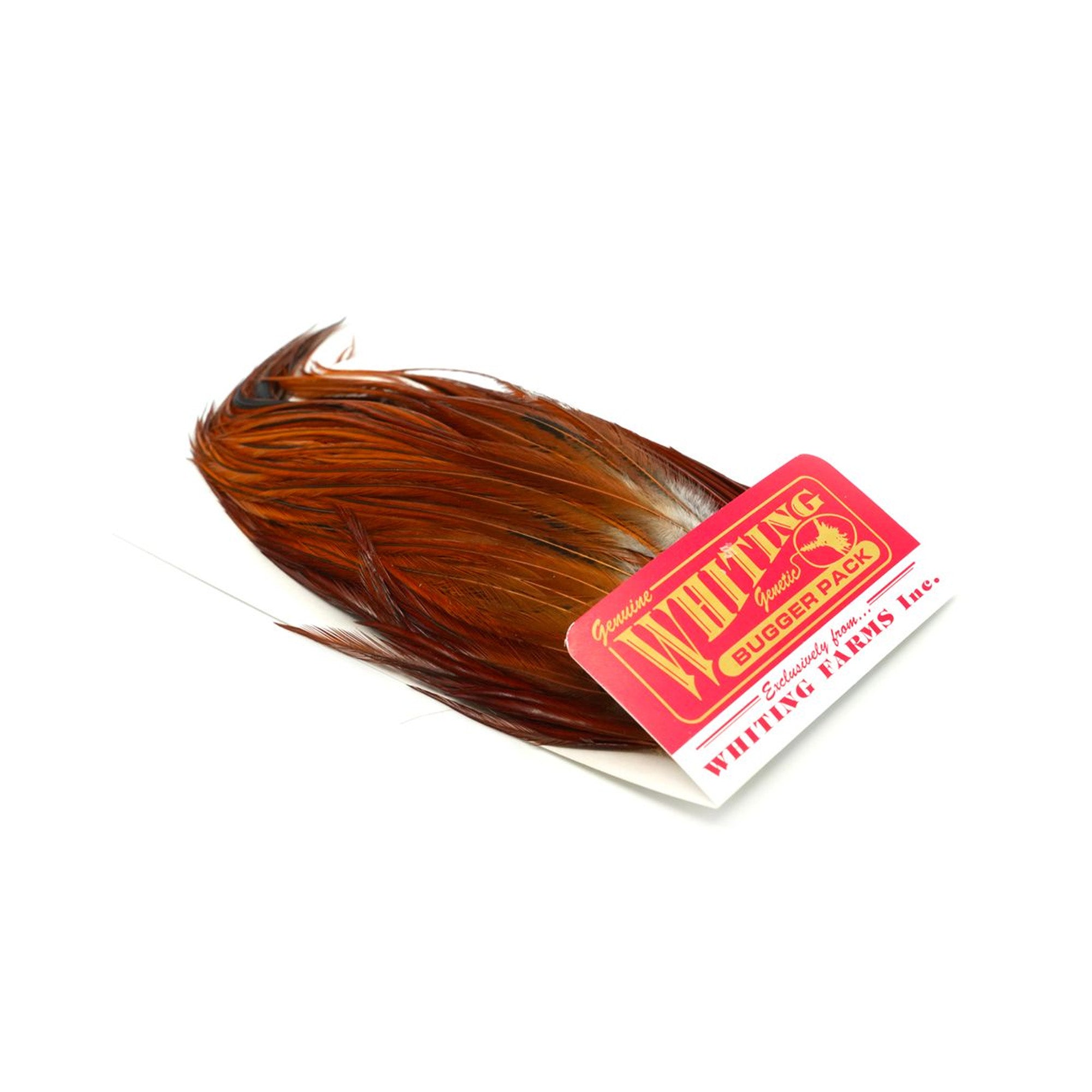 Bugger Packs Hackler