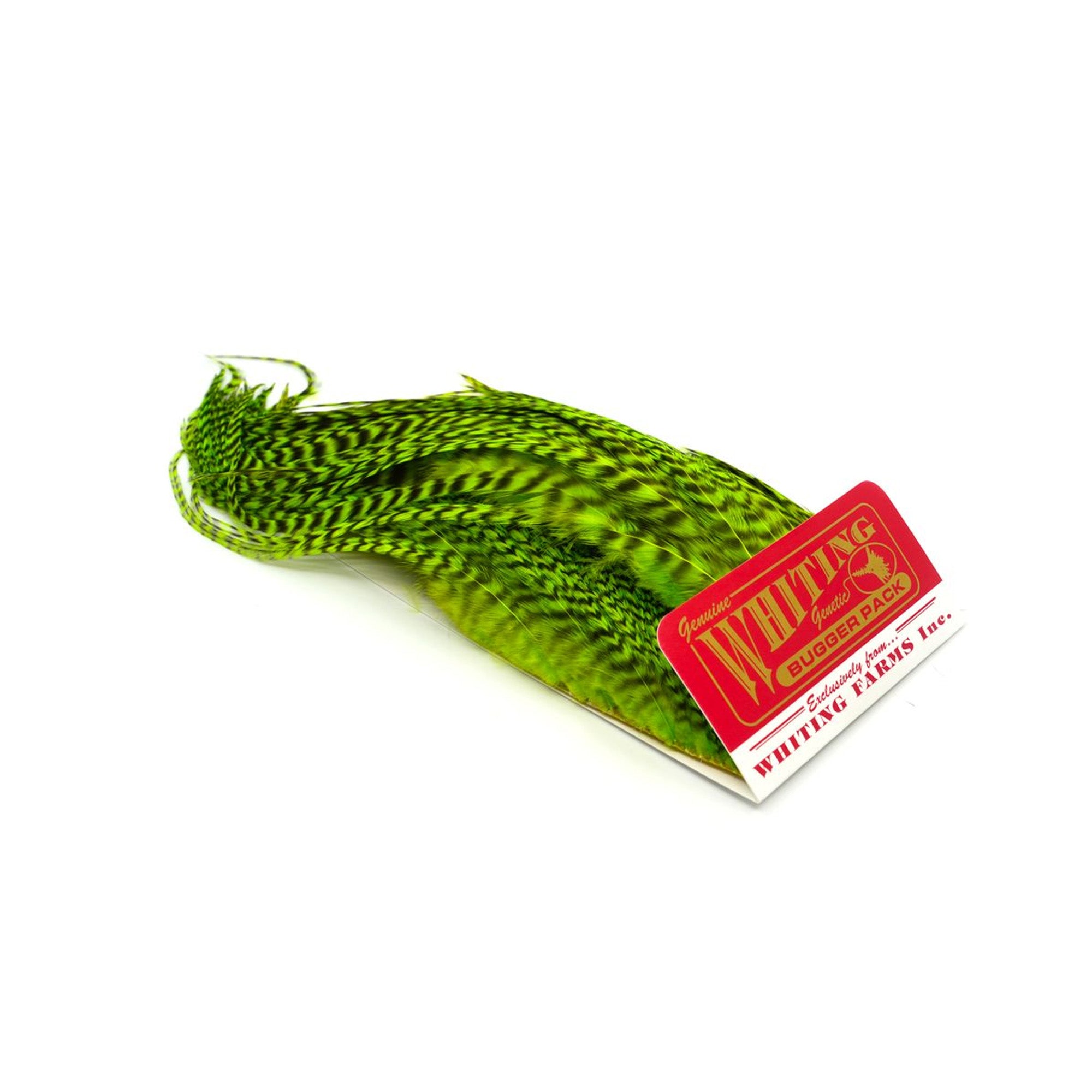 Bugger Packs Hackler